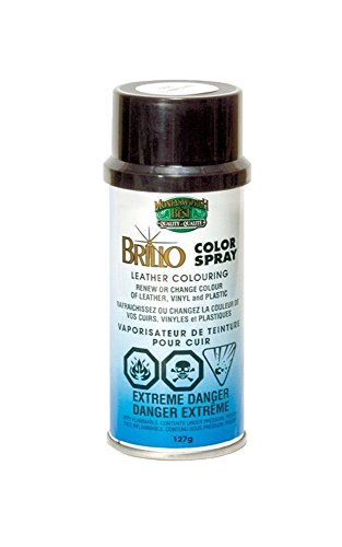 Best Spray Paint for Leather Shoes